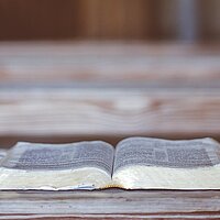 Schrifttexte lebensdienlich deuten - Homosexualität in der Bibel